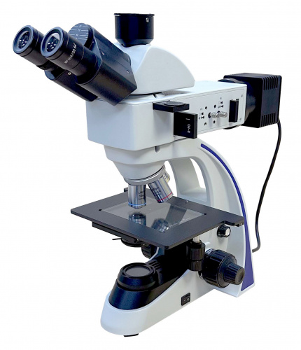8d26ebe7-cf36-11ef-9d2e-000c29e1040d